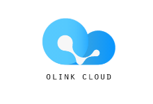 Olink Cloud 使你的垃圾服务器拥有AS9929回程,堪比CN2 GIA-主机镇